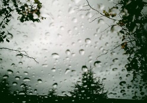 rain drops on window