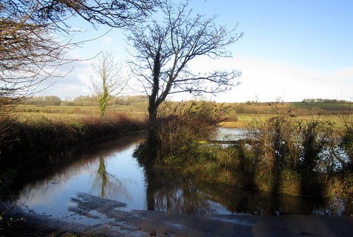 pumping water from field to creek