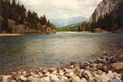 river scene with clear water flowing