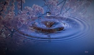 water droplet on reflecting pool