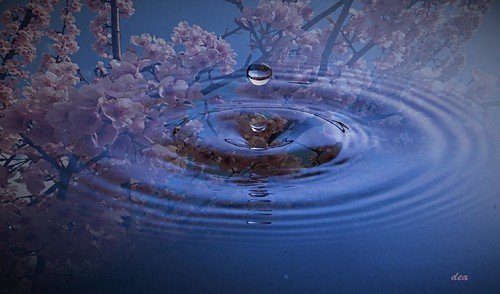 water droplet on reflecting pool